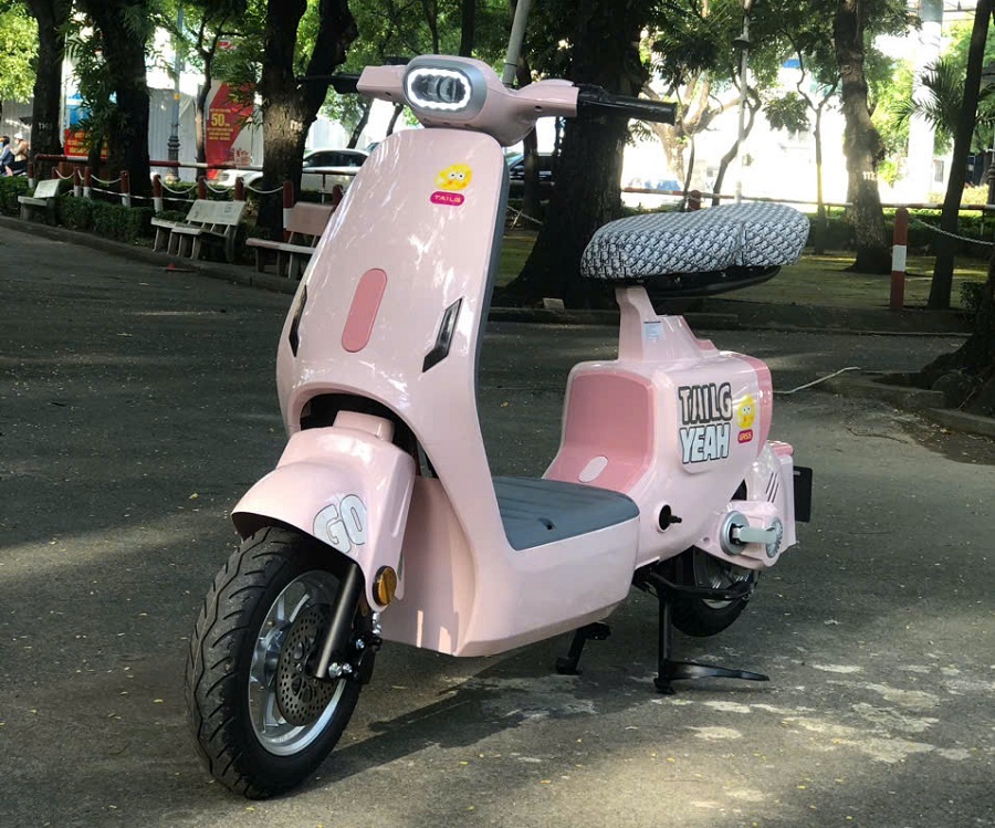 Kinh tế khó khăn nên lựa chọn phương tiện nào tiết kiệm? Tấm vé vàng mang tên xe điện