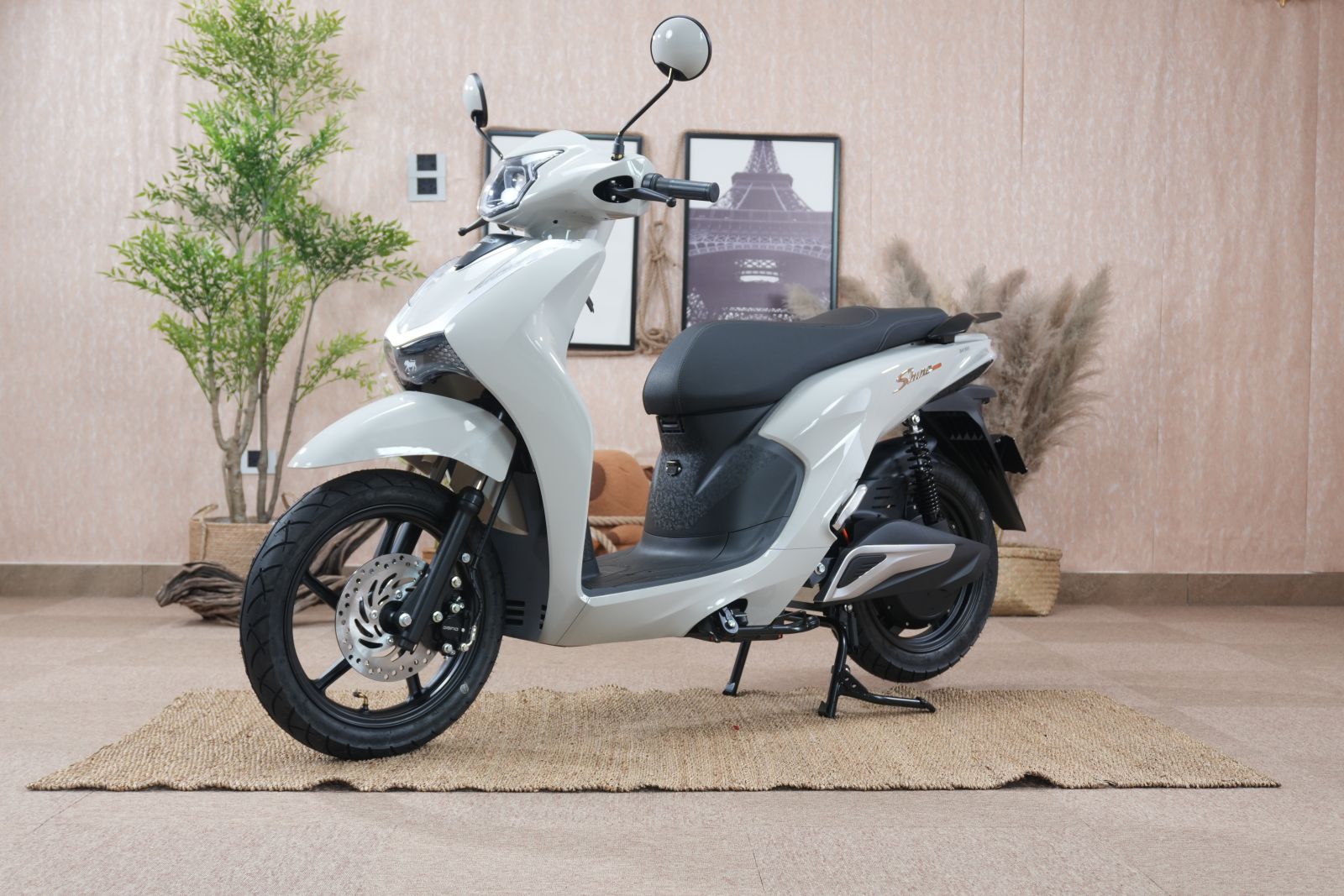Chọn Xe Điện An Toàn Để Luôn Yên Tâm Khi Đỗ Trong Nhà?