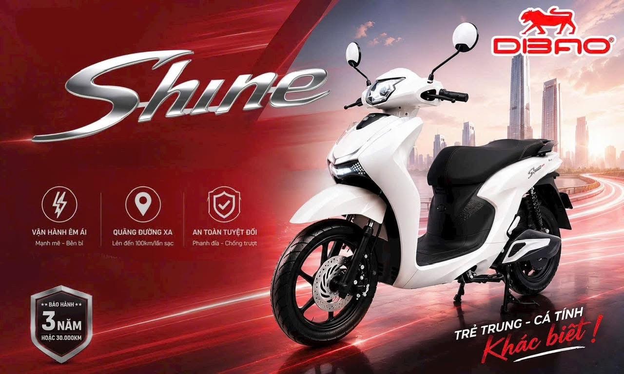 Cách Nhận Biết Xe Đạp Điện 240W Đúng Chuẩn Và Xe Gắn Sai Thông Số