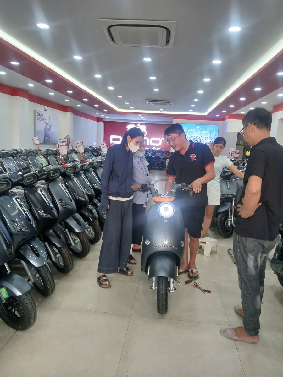 Xe đạp điện Dibao Queen