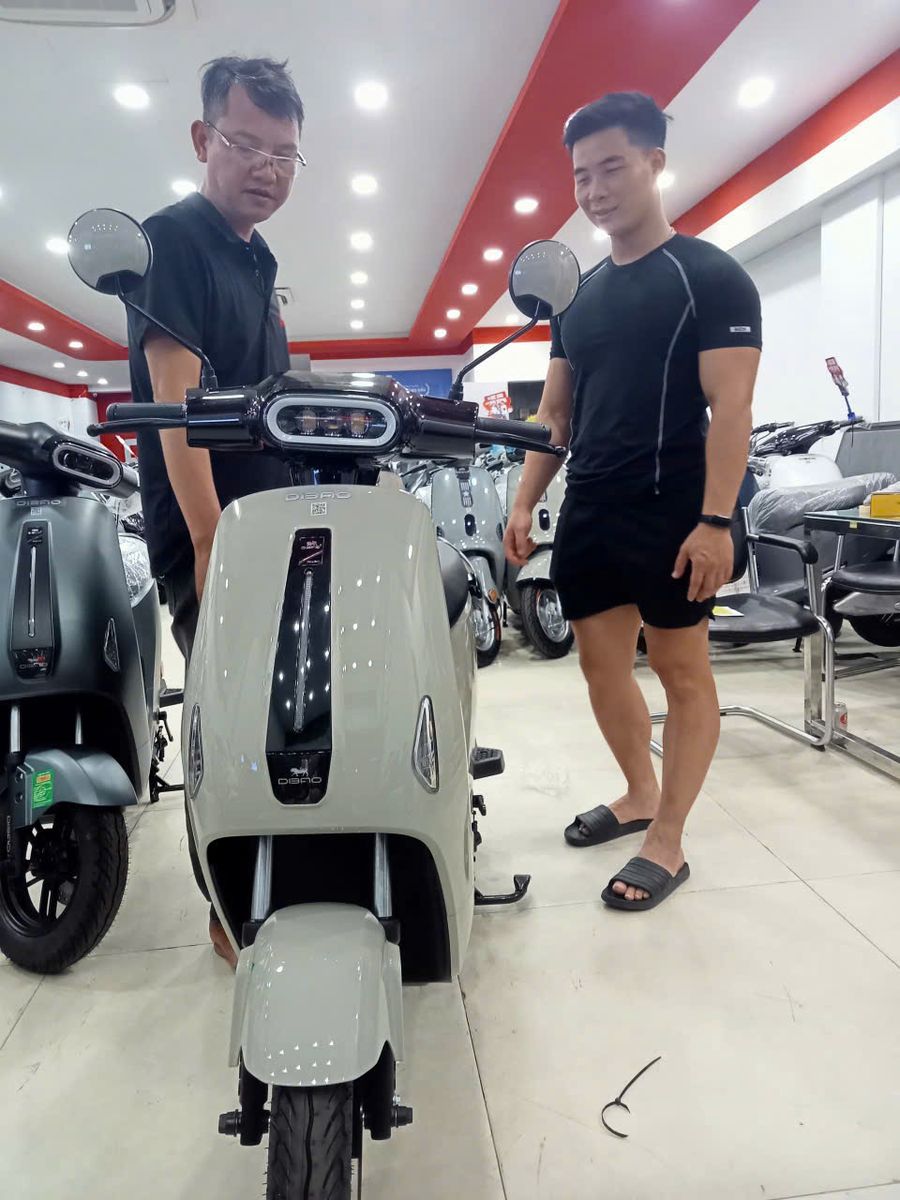 xe đạp điện Dibao Ryan màu nâu 