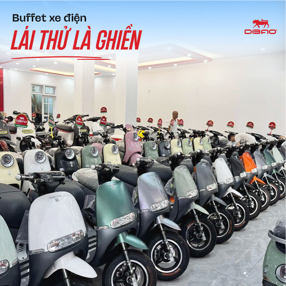 Việt Nam trước ngã rẽ lịch sử: Xe xăng hay xe điện - Bài toán định mệnh của người đô thị