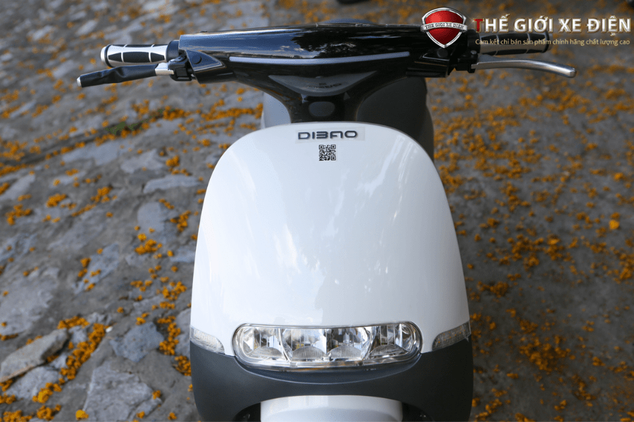 Xe máy 50cc Dibao Gofast