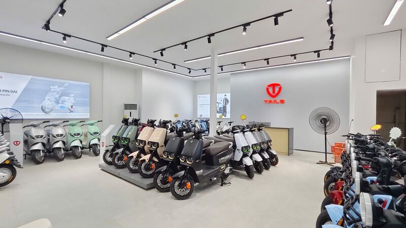 Xe điện Tailg sử dụng ắc quy loại nào