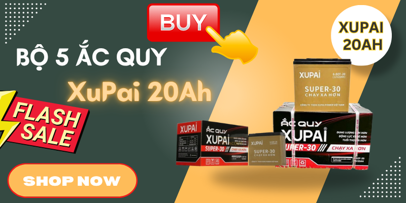bo-5-ac-quy-xupai-20ah