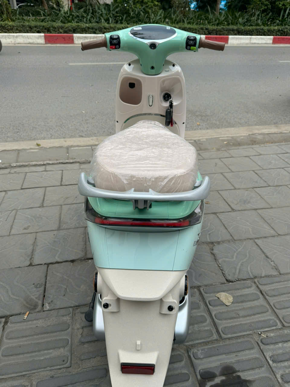 Để giảm phụ thuộc nhiên liệu hóa thạch, chính phủ khuyến khích giao thông xe điện