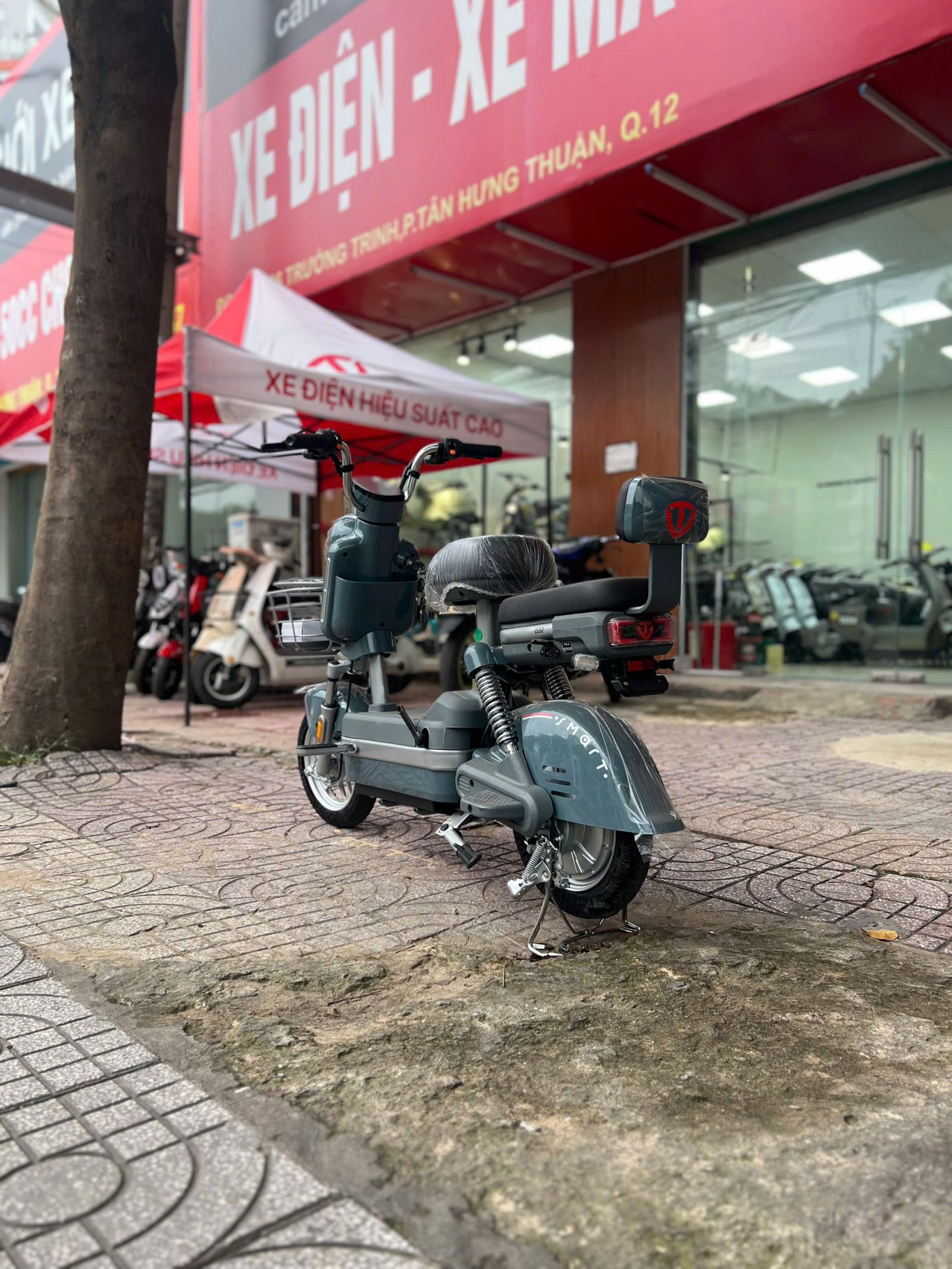 Để giảm phụ thuộc nhiên liệu hóa thạch, chính phủ khuyến khích giao thông xe điện