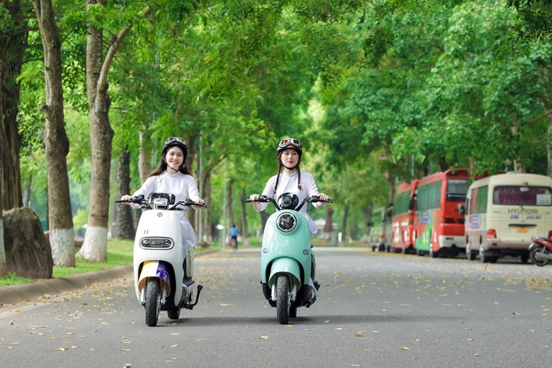 Động cơ xe điện Tailg