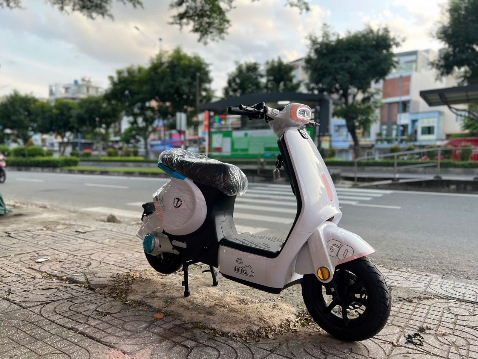 Xe đạp điện TAILG GR56