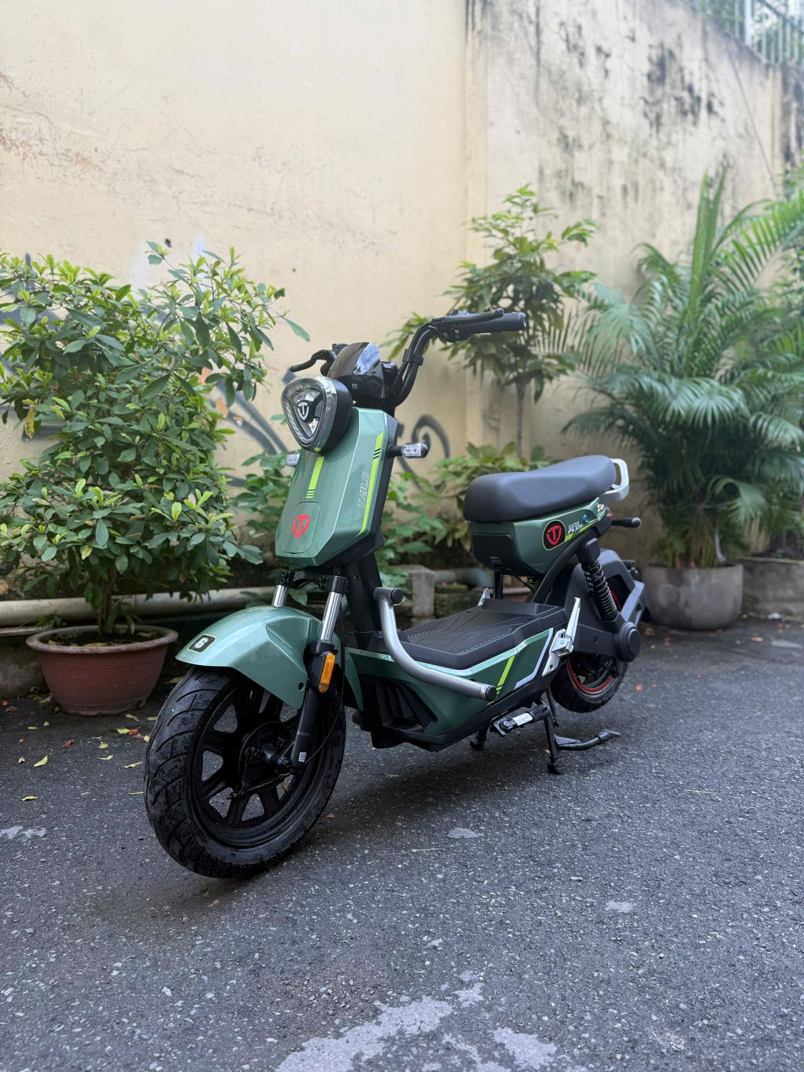 Xe đạp điện TAILG GX30 Xbull