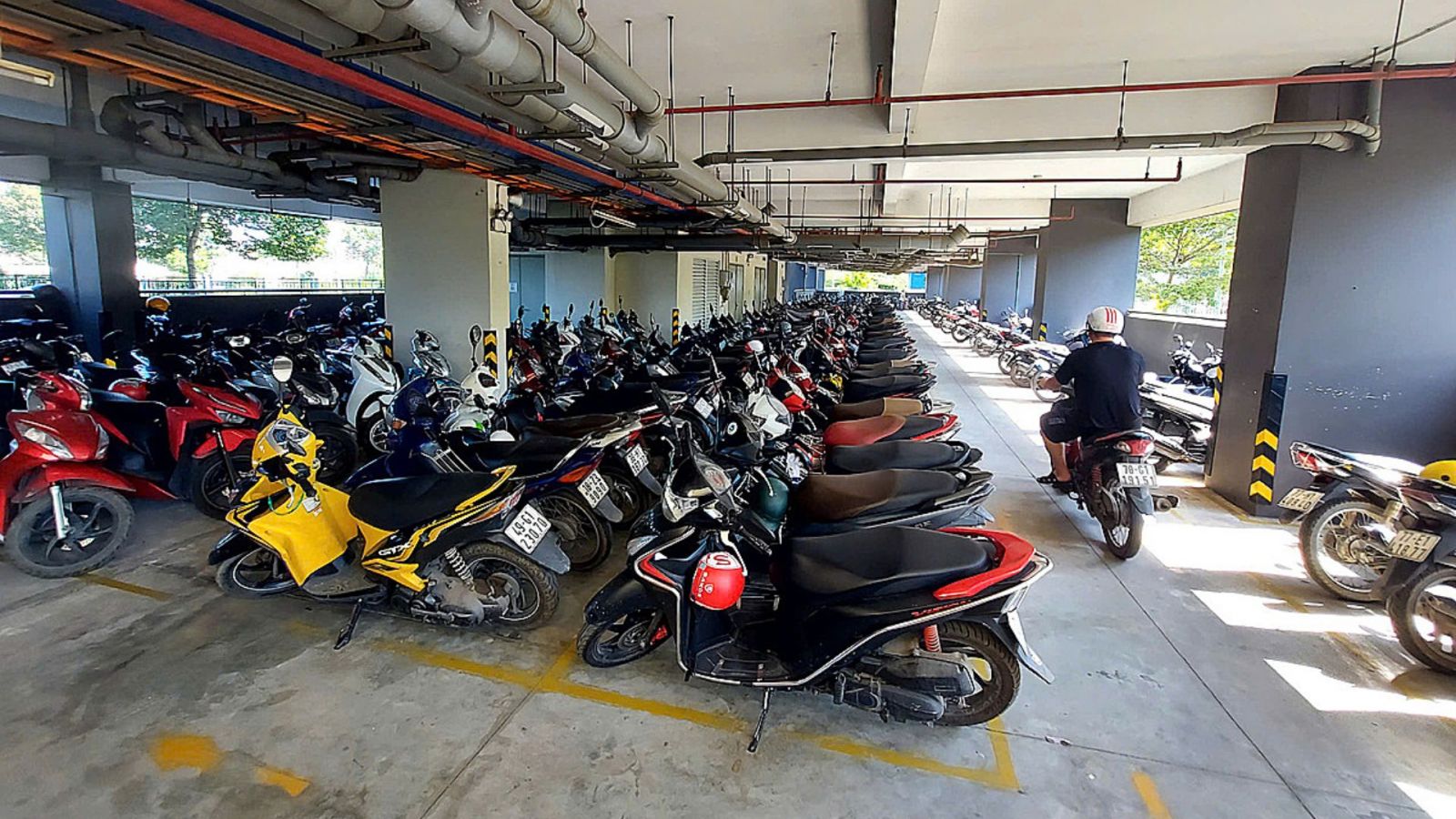 Thông báo gây sốc và nội dung của lệnh cấm