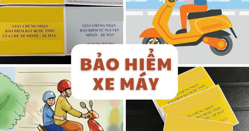 Mua bảo hiểm xe máy 50cc ở Nhật 