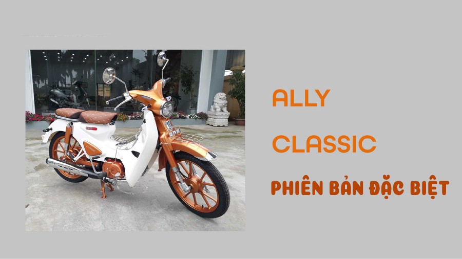 xe máy 50cc cub ally classic bản độ 2020