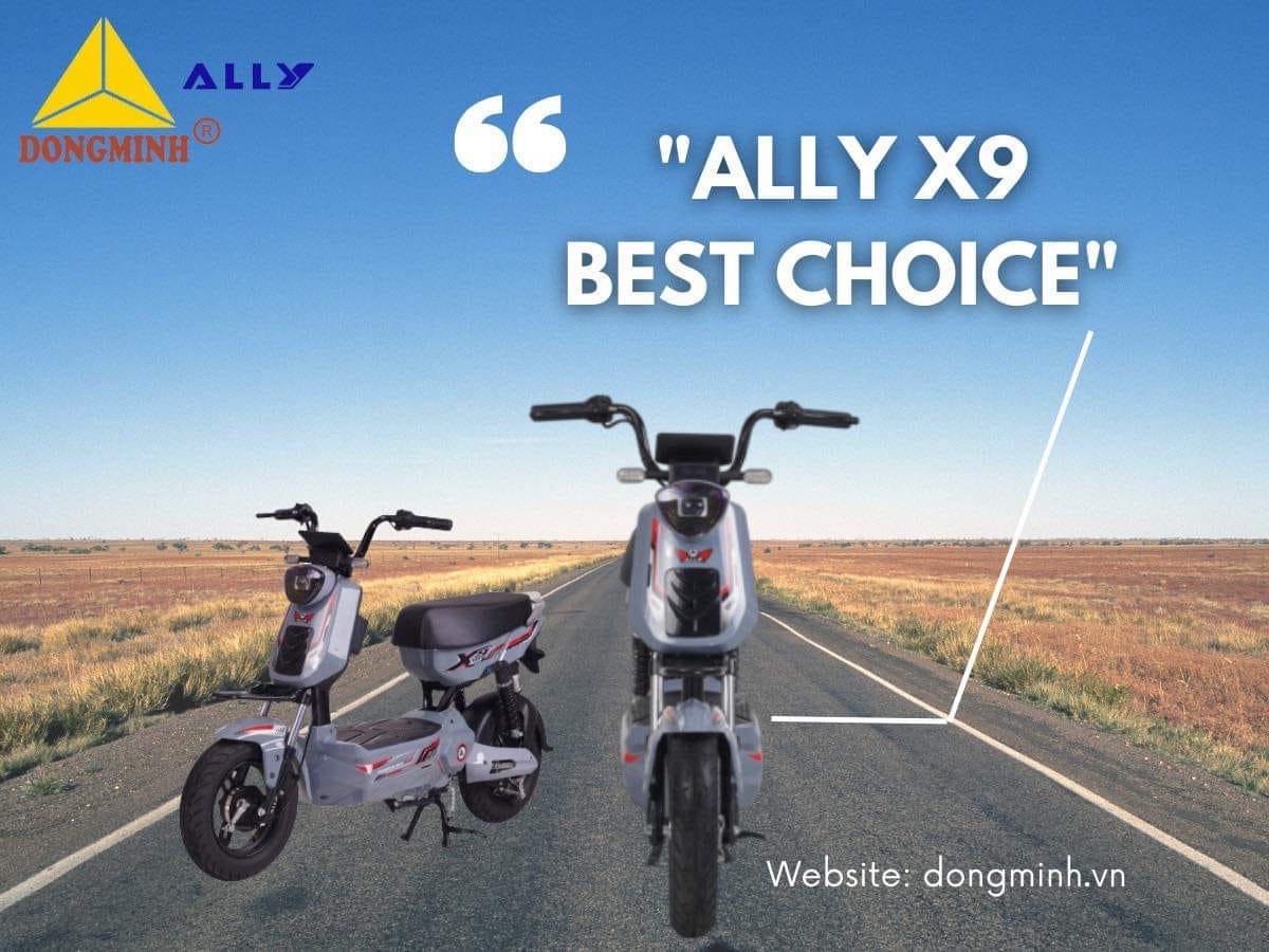 Xe điện Ally X9