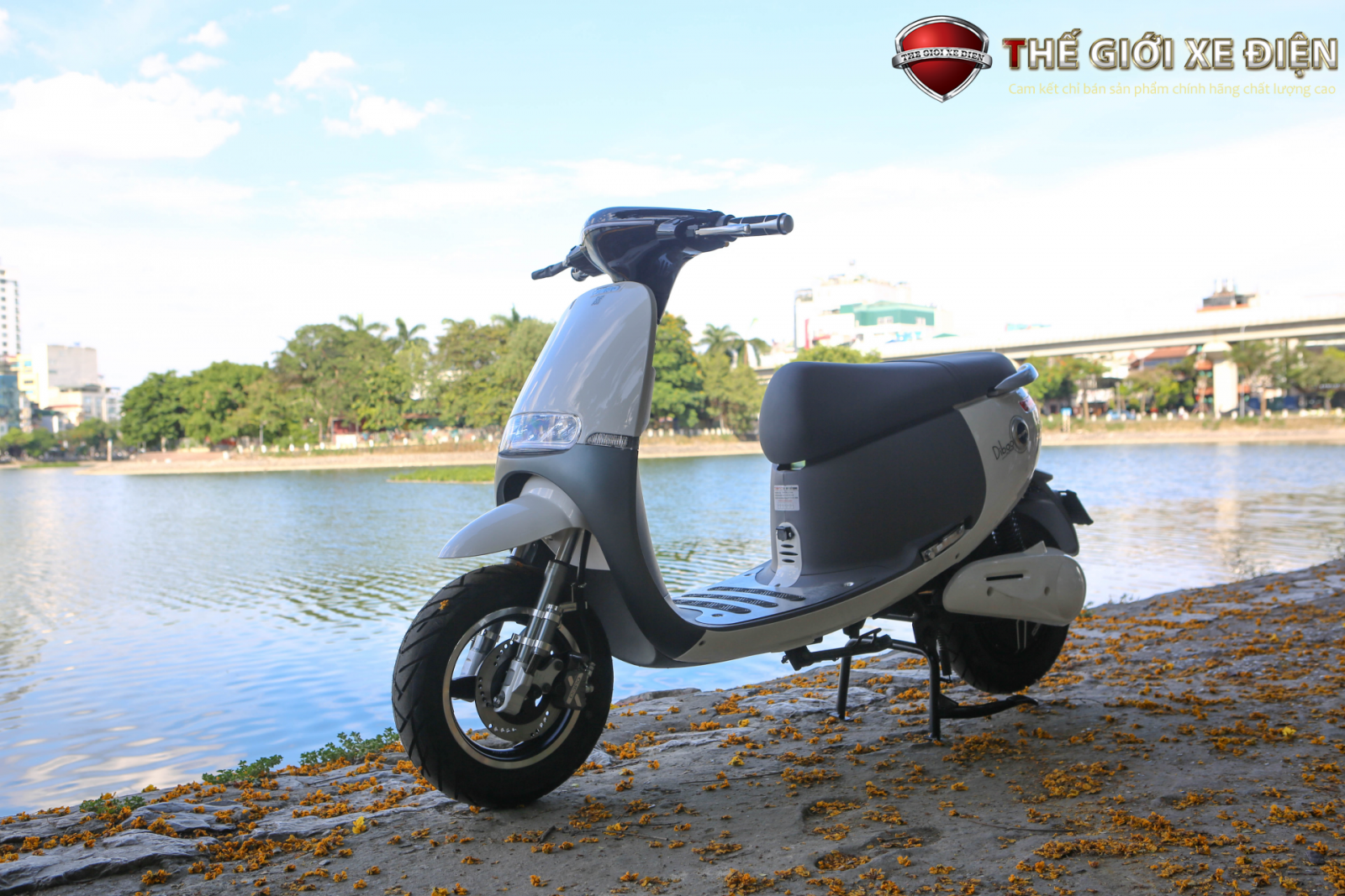 xe máy điện Dibao Gogo SS 2 phanh đĩa 2020