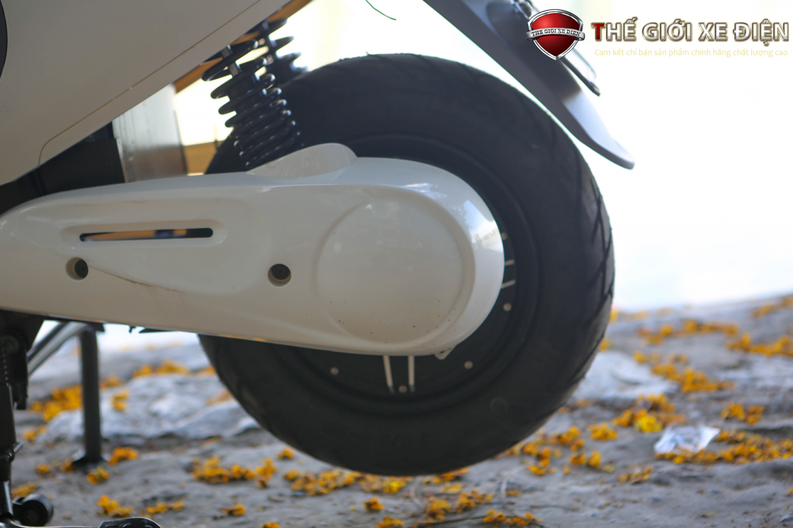Xe máy điện Dibao Gogo SS 2021 càng đúc chân chống đúc