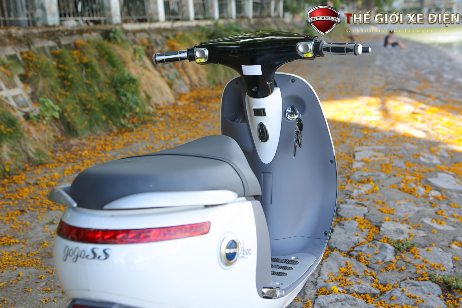 Xe máy điện Dibao Gogo SS 2021 càng đúc chân chống đúc