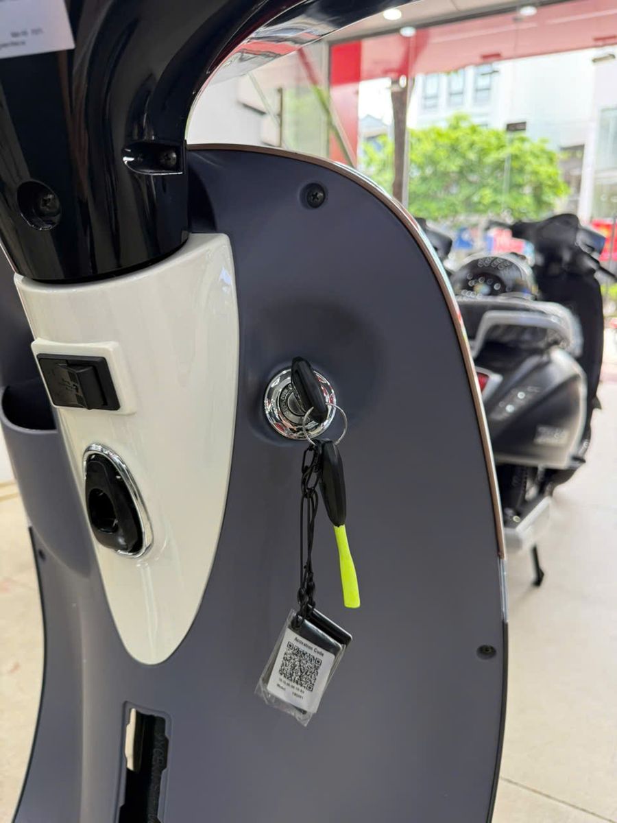 Xe Máy Điện Dibao Gogo Crown
