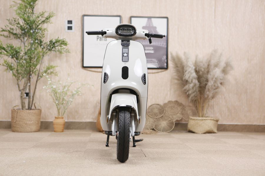 xe đạp điện trợ lực dibao m1p