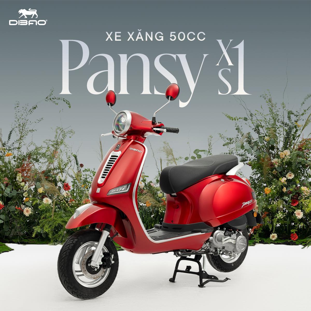 ​​​​​​​Xe Ga 50cc Dibao Pansy XS1