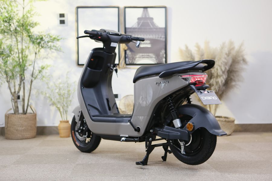 xe đạp điện Dibao Ryan