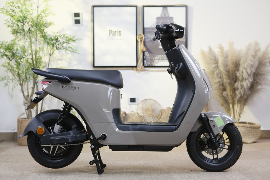 xe đạp điện Dibao Ryan