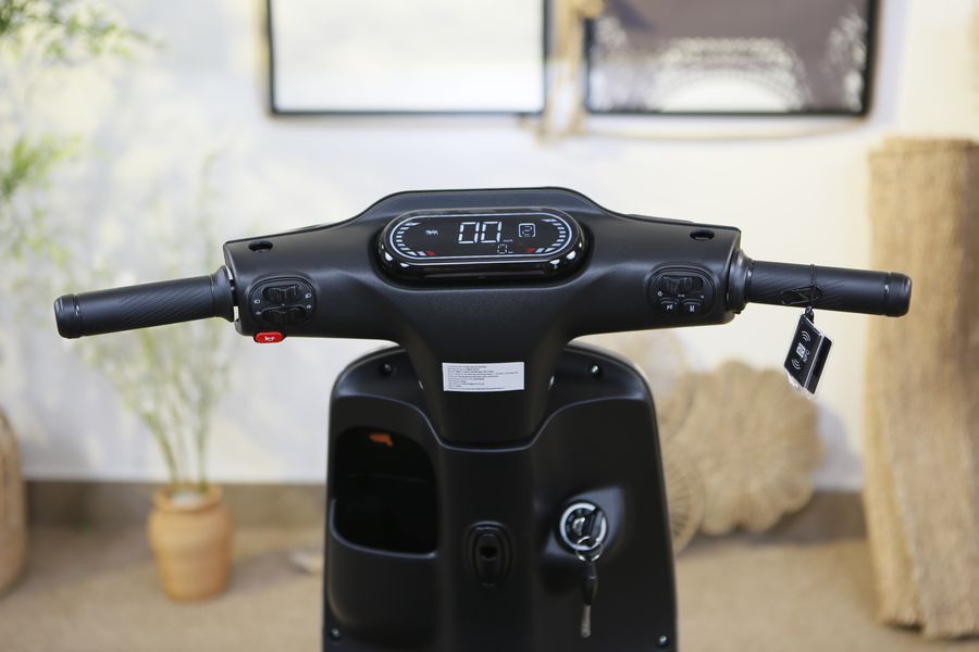 xe đạp điện Dibao Ryan