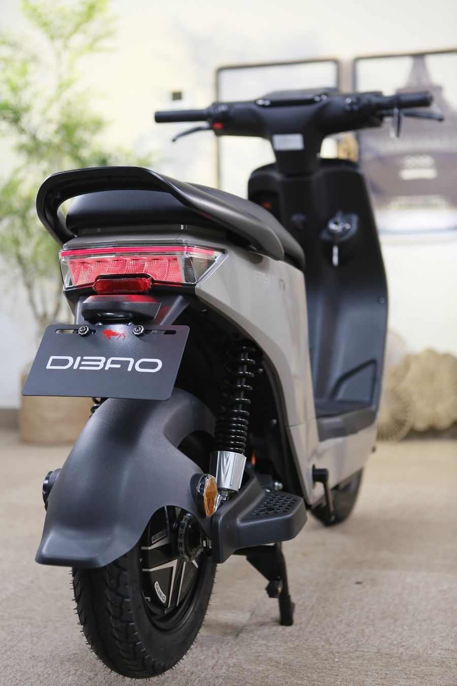 xe đạp điện Dibao Ryan