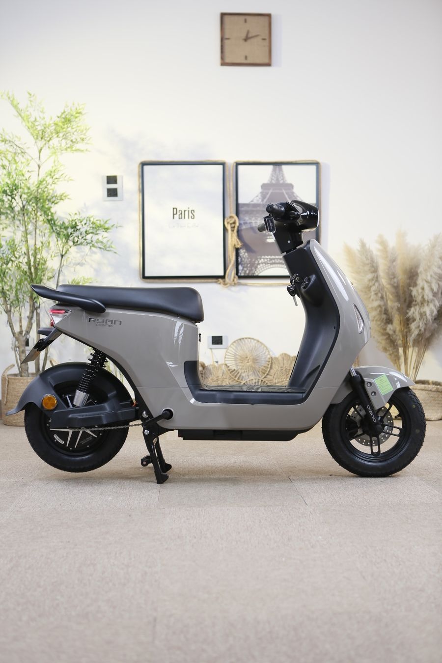 xe đạp điện Dibao Ryan