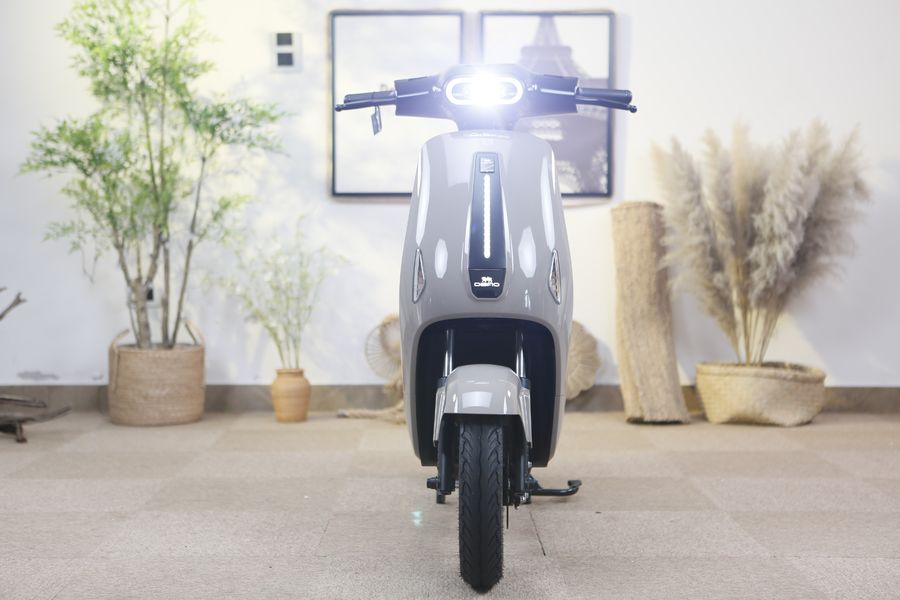 xe đạp điện Dibao Ryan