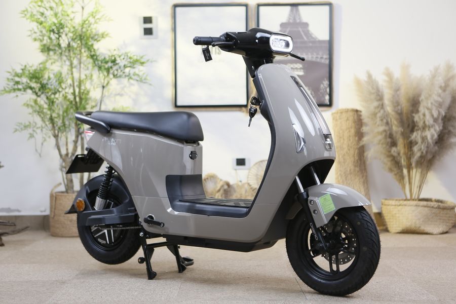 xe đạp điện Dibao Ryan