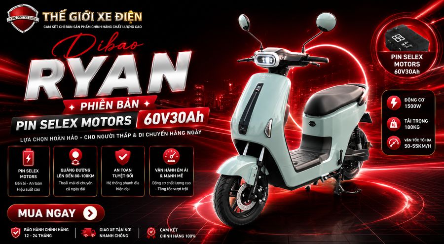 Dibao Ryan Pin Selex Motors 60V30Ah