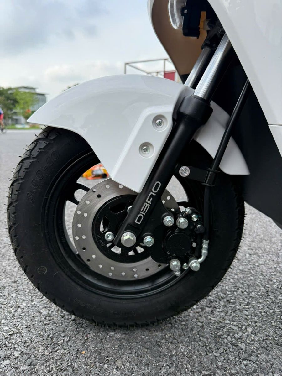 Dibao Ryan Pin Selex Motors 60V30Ah