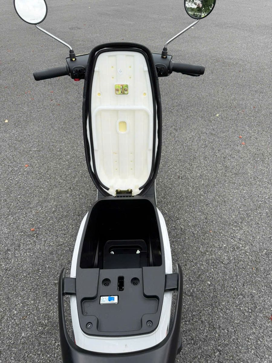 Dibao Ryan Pin Selex Motors 60V30Ah