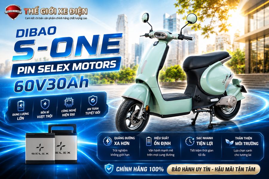 Dibao S-One Pin Selex Motors 60v30Ah