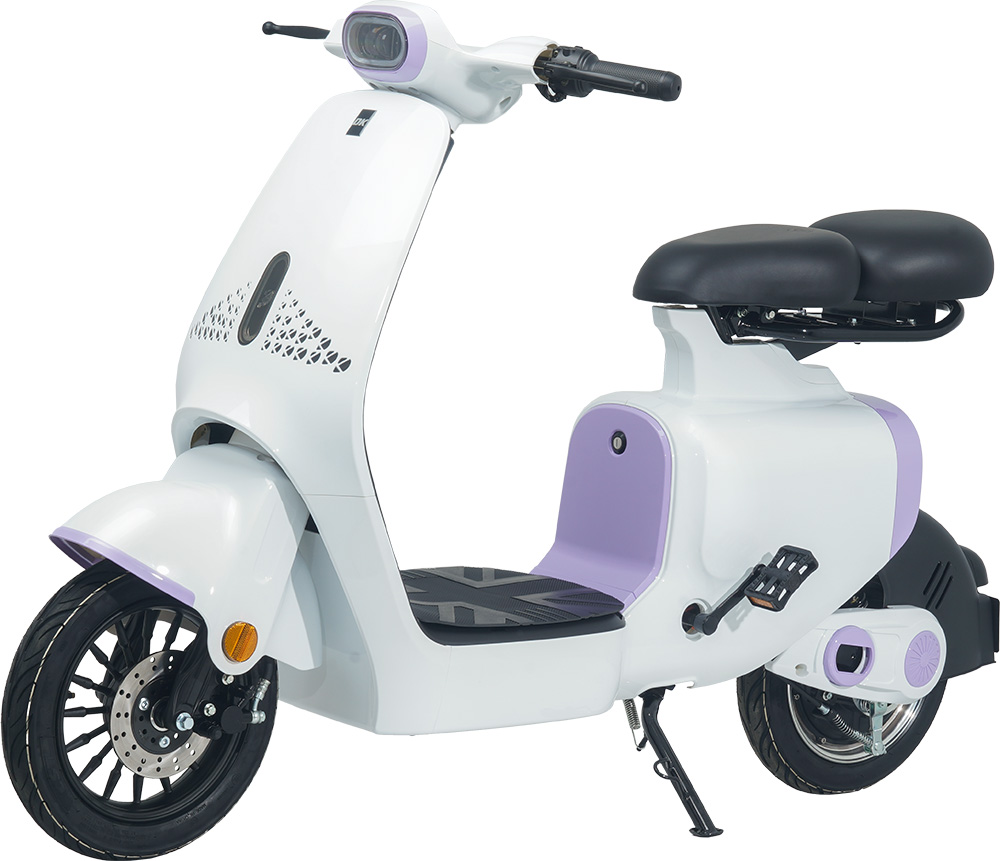 xe đạp điện đời mới DK S1