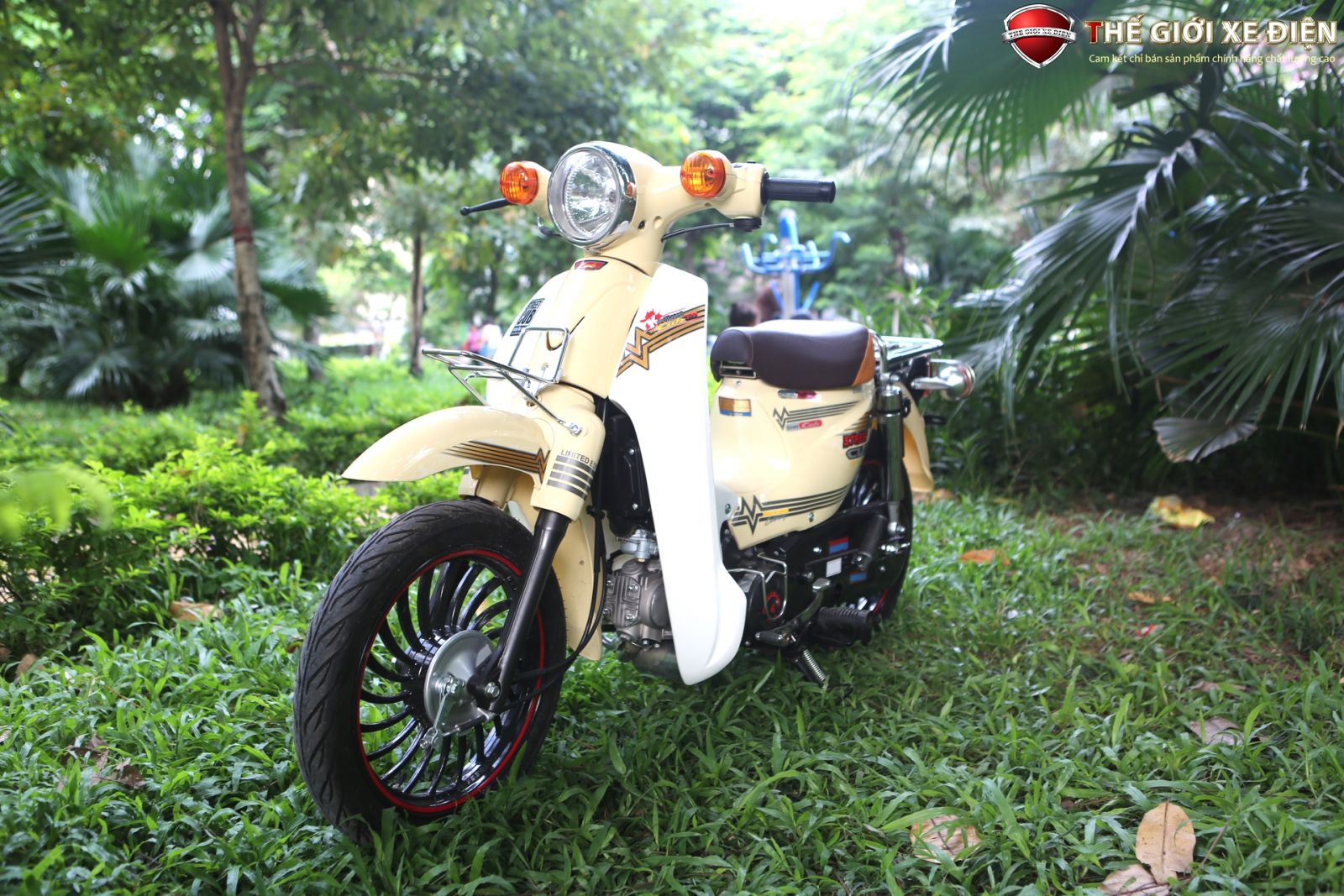 Xe Máy 50cc Cub Thái Lan Vành Đúc | Nhập Khẩu Chính Hãng Hyosung
