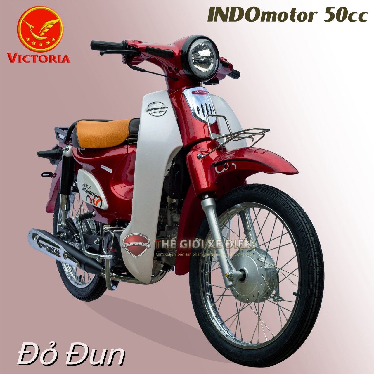 xe 50cc nên mua cub indo