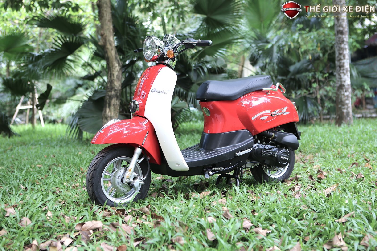 Giá xe Honda Scoopy 50cc bán bao nhiêu tại Hà Nội  Diễn Đàn Nghệ An