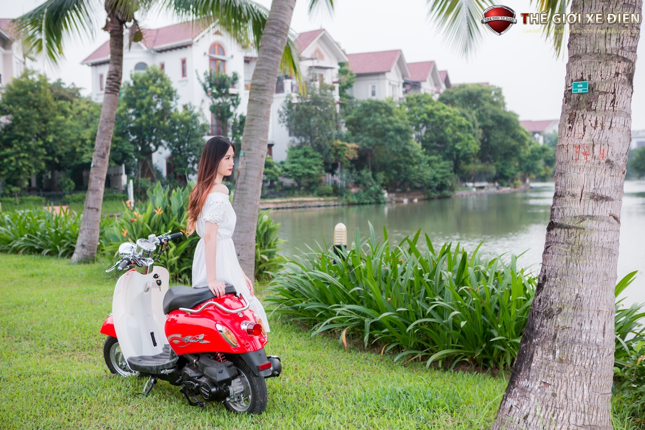Review xe Scoopy Việt Thái, dòng xe tay ga 50cc dành cho giới trẻ hiện nay