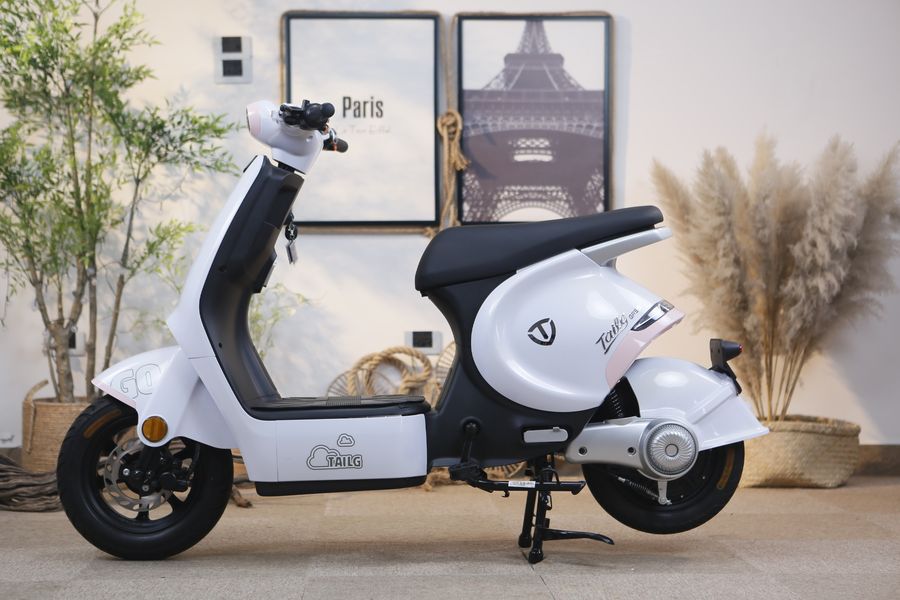 xe đạp điện Tailg GR56