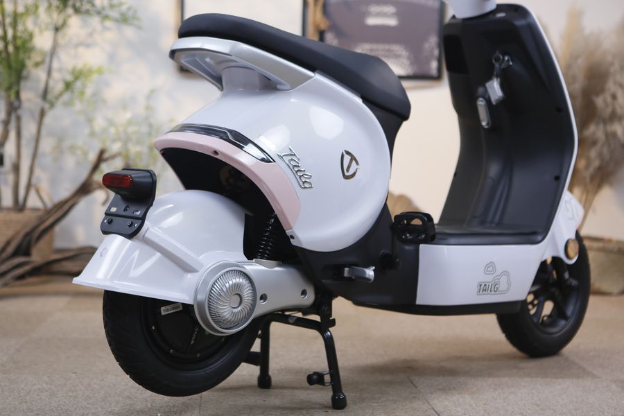 xe đạp điện Tailg GR56
