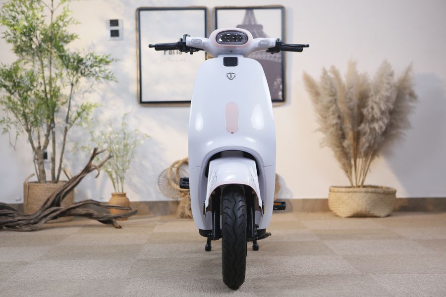 xe đạp điện Tailg GR56