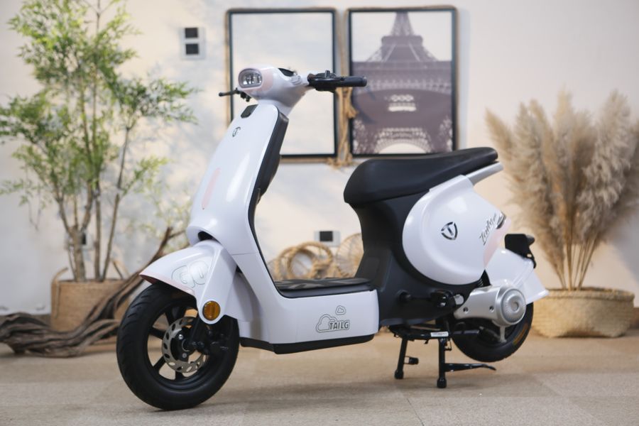 xe đạp điện Tailg GR56