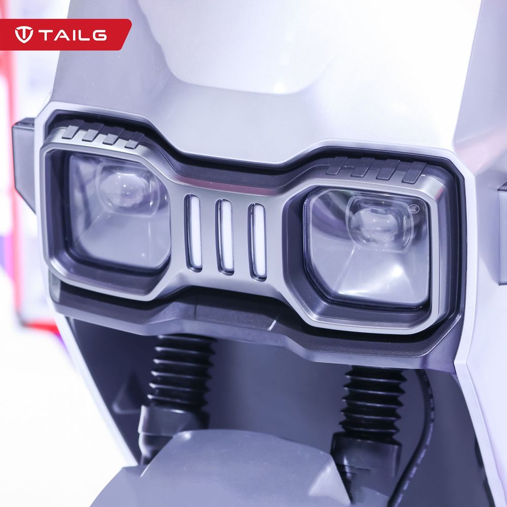 XE ĐIỆN TAILG TẠI HỘI CHỢ CANTON FAIR 137