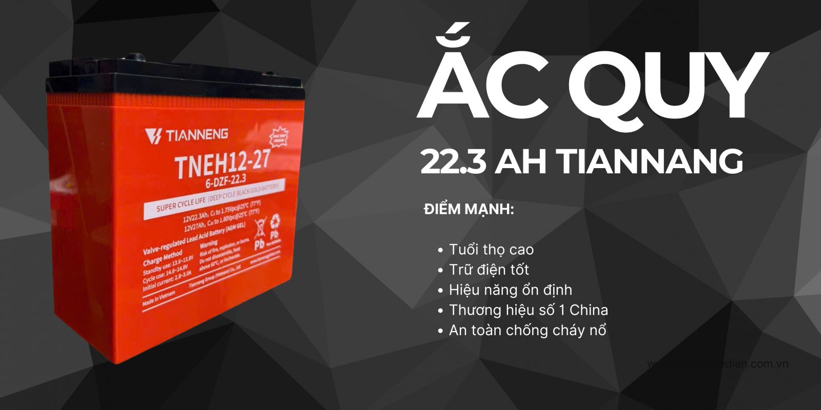 ắc quy 22a tianneng xe tailg gx30