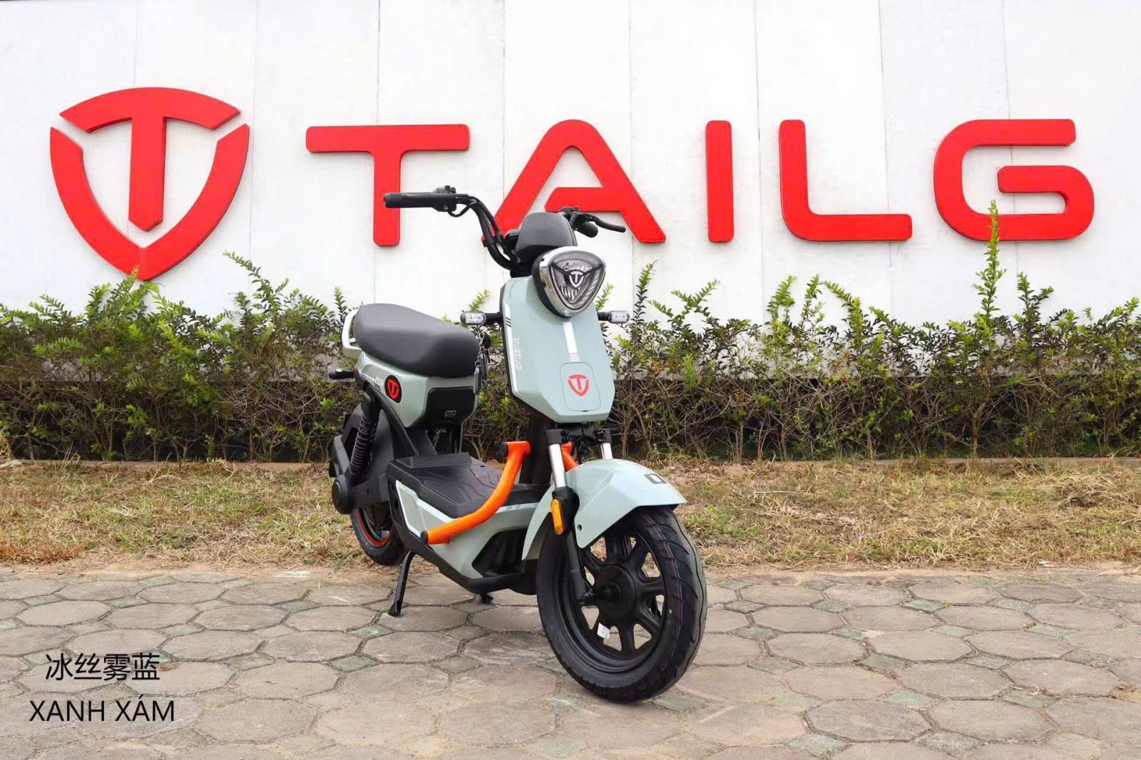 xe đạp điện tailg gx30 xbull