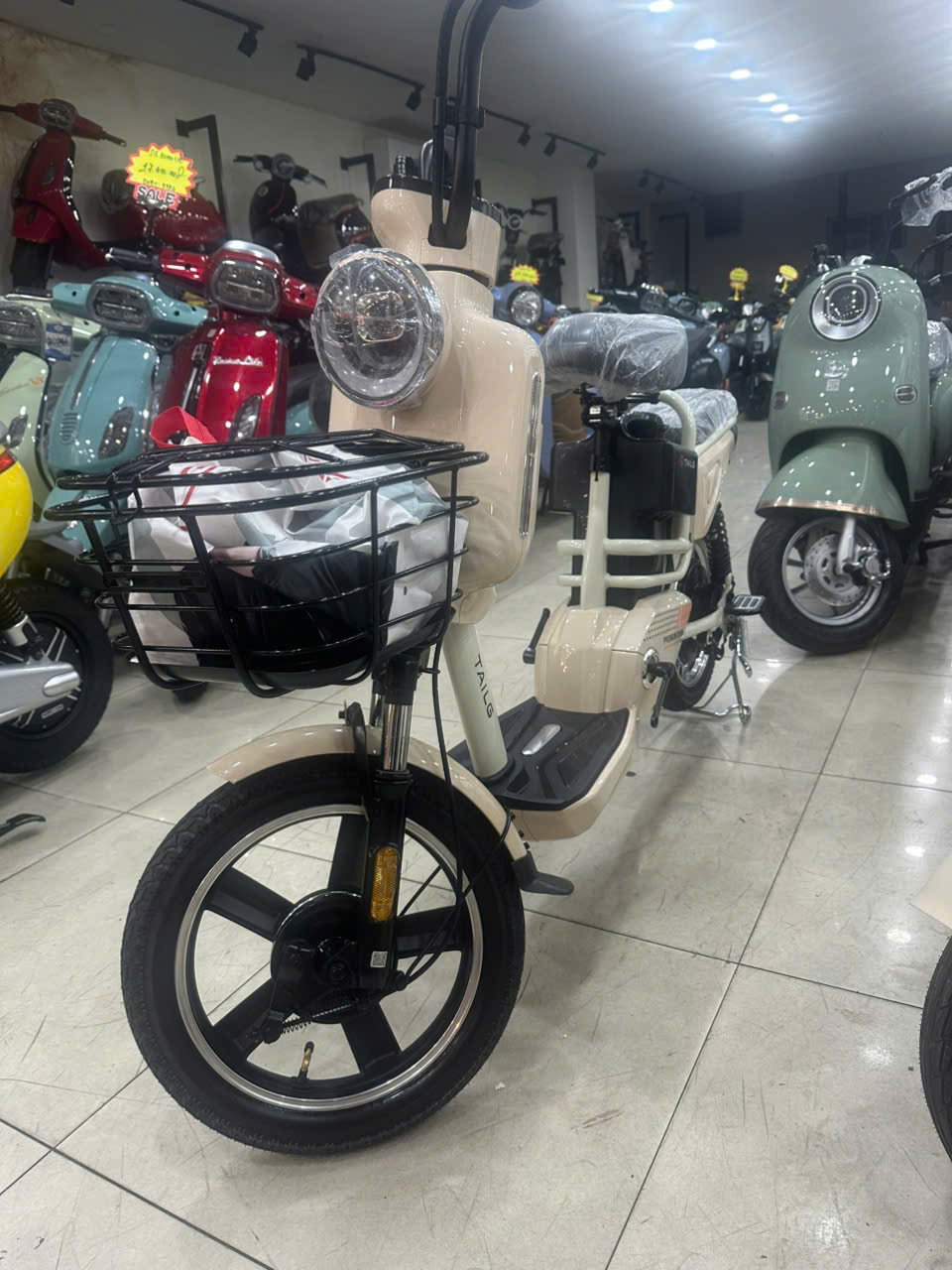 xe đạp điện tailg jy34