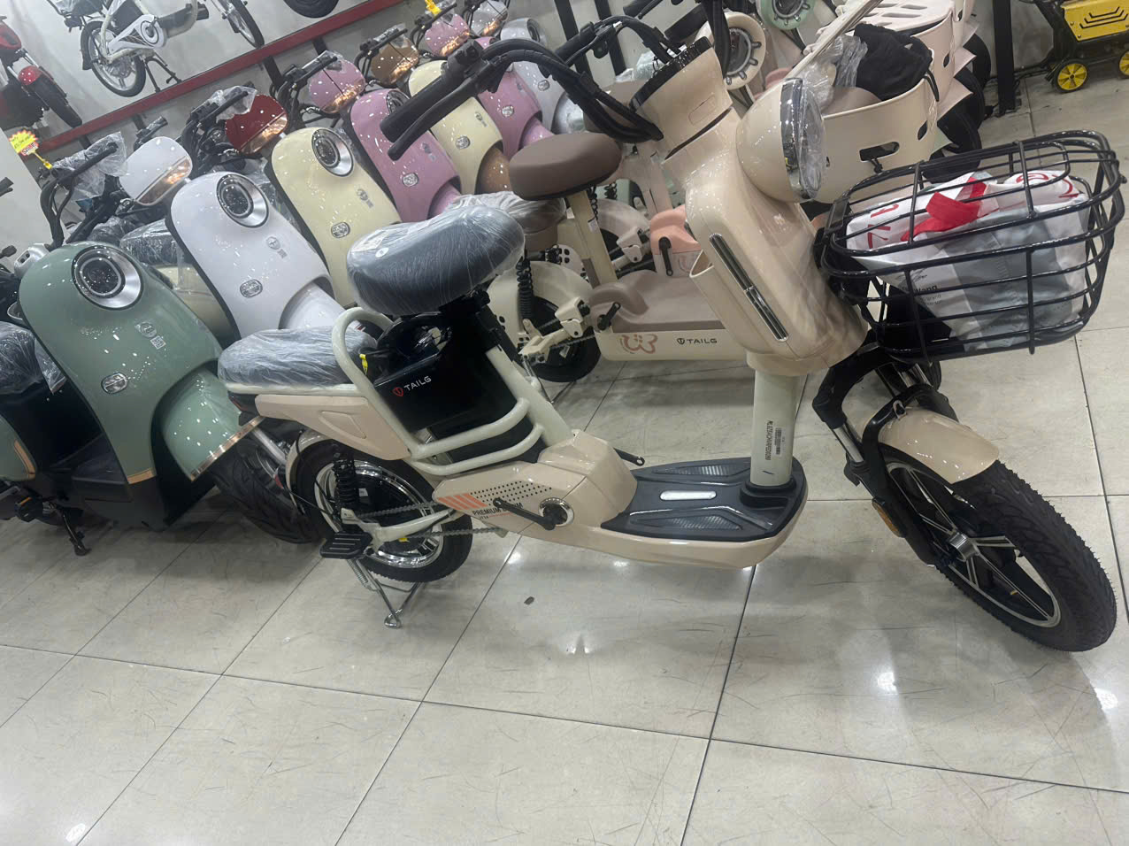 xe đạp điện tailg jy34