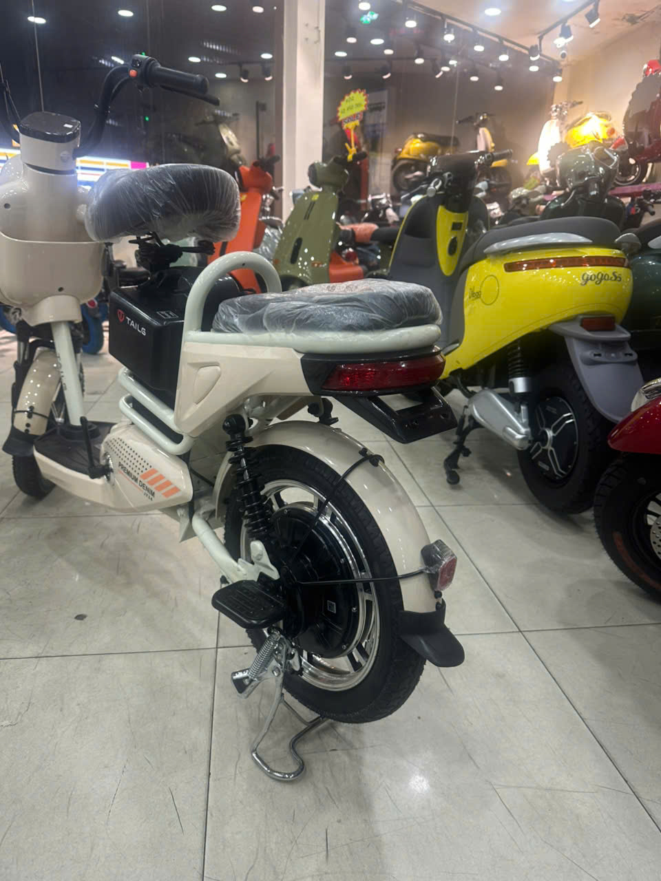 xe đạp điện tailg jy34